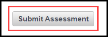 outline around the submit assessment button